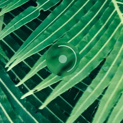 Liquid Glass Spinner Preview